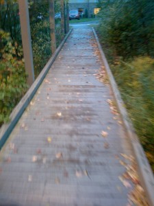 Idyllischer Waldweg