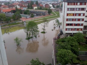 Auenlandschaft
